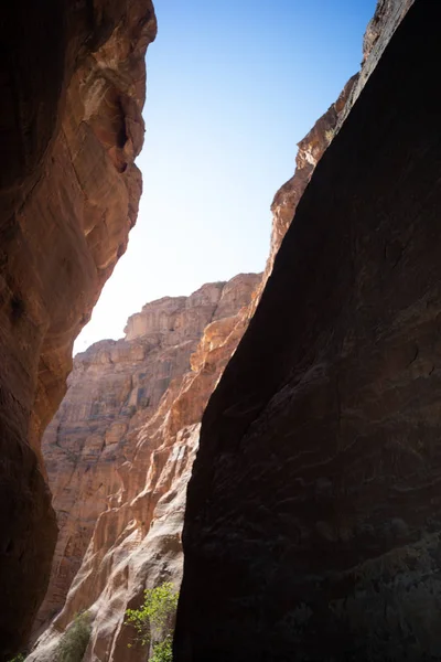 Canyon All Ingresso Petra Giordania Antica Città — Foto Stock