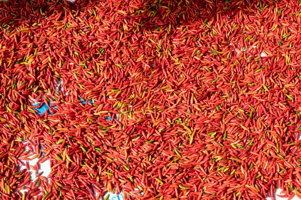 Κόκκινες Πιπεριές Που Πωλούνται Στην Αγορά Στο Luang Prabang — Φωτογραφία Αρχείου