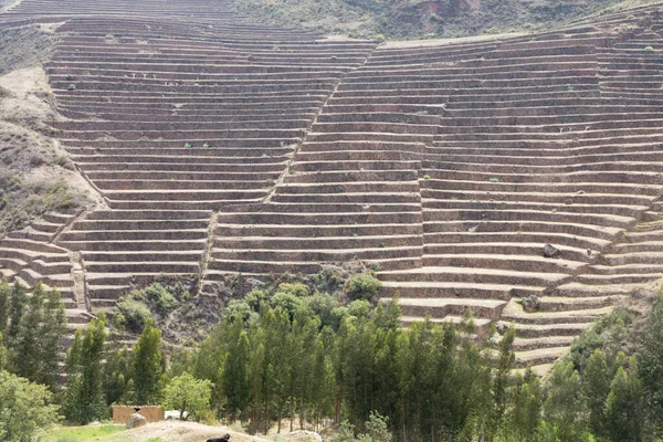 Terraços Circulares Incas Moray Estação Experimentos Agrícolas Peru América Sul — Fotografia de Stock