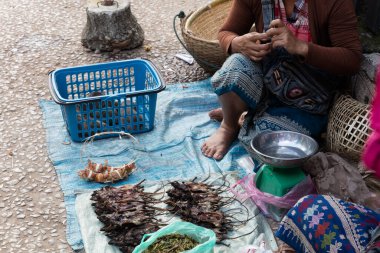 Markette kızarmış fareler, Luang Prabang, Laos