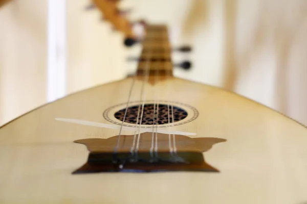 Akustik müzik enstrümanı dizeleri 
