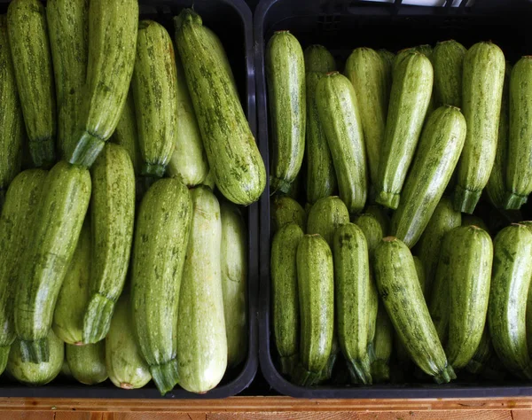 Zucchini (sommarsquash) — Stockfoto