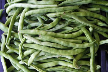 Bir avuç yeşil fasulye. 