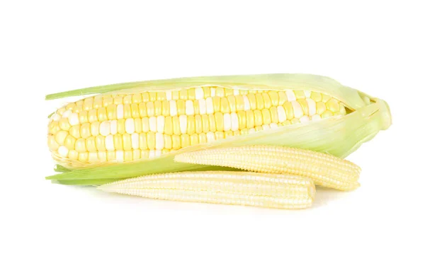 Fresh bi colored white-yellow sweet corn and baby corn on white Stock Picture
