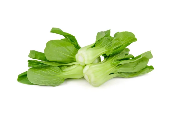 Fresh baby bok choy or chinese cabbage on white background — Stock Photo, Image