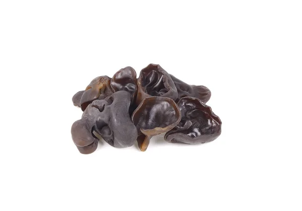 Fresh black Jew's Ear Mushroom on white background Stock Photo