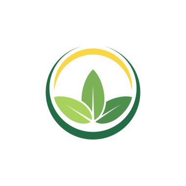 Yaprak Logo Vektörü Tasarım Şablonu