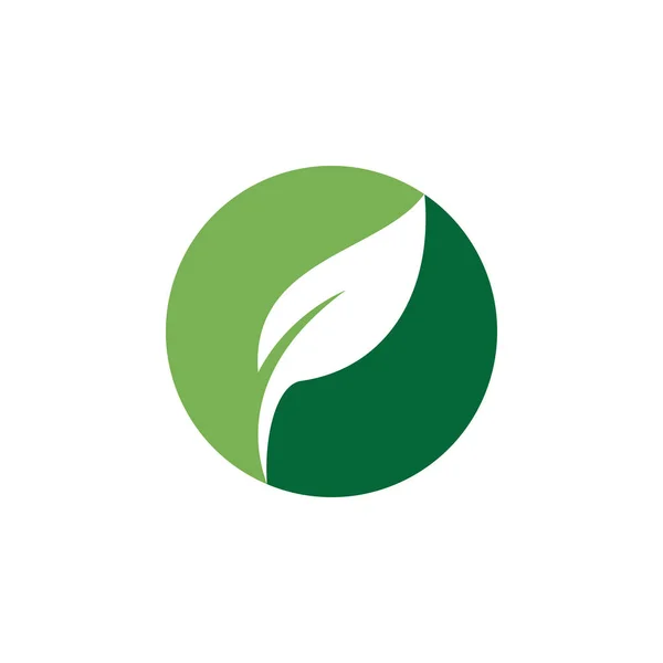 Yaprak Logo Vektörü Tasarım Şablonu — Stok Vektör