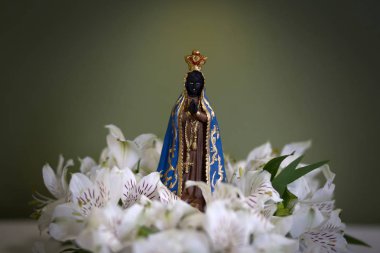 Aparecida Hanım'ın resminin heykeli