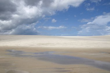 Amancio lagoon in northeastern Brazil