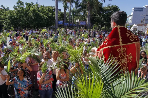 Oliveira Brasil 2018 Sacerdote Bendice Las Ramas Celebración Del Domingo — Foto de Stock