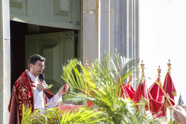 Oliveira Brazil 2018 Priest Blesses Branches Celebration Palm Sunday — Φωτογραφία Αρχείου