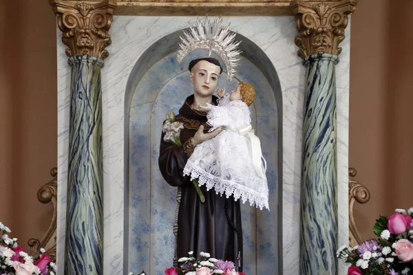 リスボンの聖人アンソニーまたは聖アンソニー パドゥアと赤ちゃんイエス キリスト教会のイメージ — ストック写真