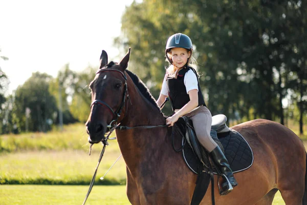 Menina jockey adolescente senta-se em um cavalo marrom na natureza . — Fotografia de Stock