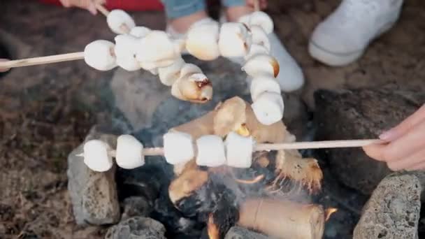 Skupina přátel odpočívá v lesním táboře. Muži a ženy připravují marshmallow na táboráku. Večírek v přírodě. — Stock video