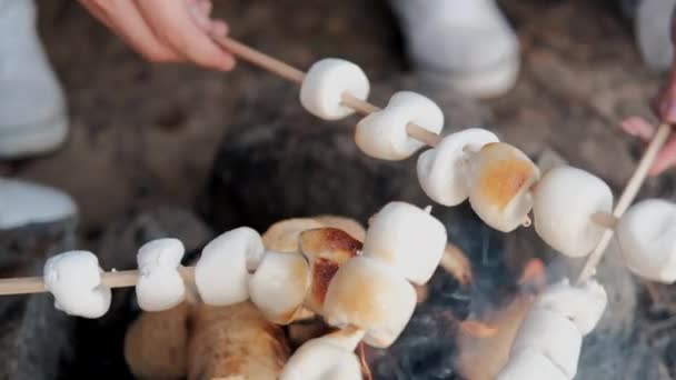 Un groupe d'amis se détendent dans un camp forestier. Hommes et femmes préparent une guimauve sur un feu de joie. Une fête dans la nature . — Video