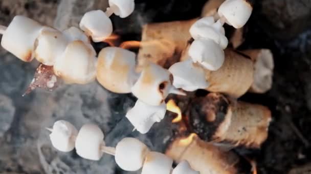 En grupp vänner kopplar av i ett skogsläger. Män och kvinnor förbereder en marshmallow på en brasa. En part i naturen. — Stockvideo
