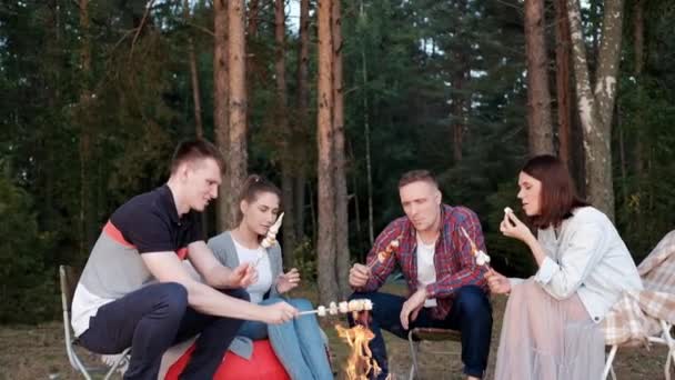 Un grupo de amigos se relajan en un campamento forestal. Hombres y mujeres preparan un malvavisco en una hoguera. Una fiesta en la naturaleza . — Vídeos de Stock