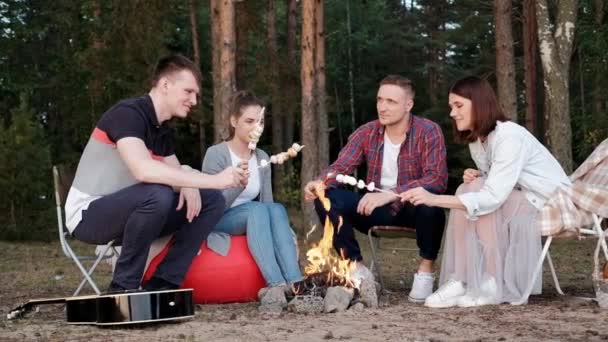 Grupa przyjaciół zrelaksować się w obozie leśnym. Mężczyźni i kobiety przygotowują piankę na ognisku. Impreza o charakterze. — Wideo stockowe
