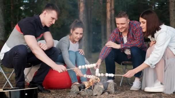 Un groupe d'amis se détendent dans un camp forestier. Hommes et femmes préparent une guimauve sur un feu de joie. Une fête dans la nature . — Video