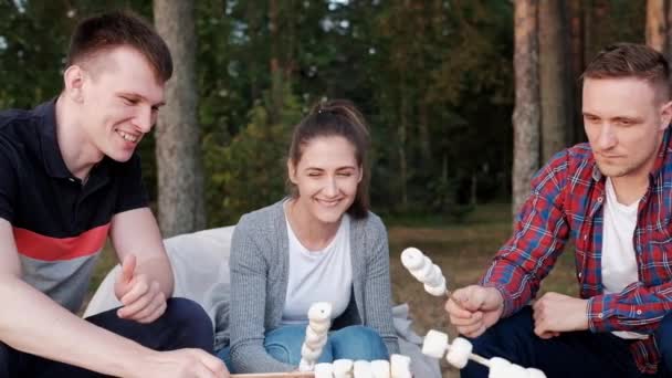 Bir grup arkadaş bir orman kampında dinleniyor. Erkekler ve kadınlar şenlik ateşinde marşmelov hazırlıyorlar. Doğada bir parti. — Stok video