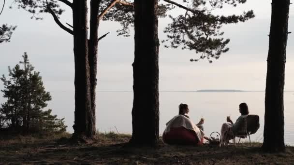 Quatre amis se reposent sur la plage. Boire et communiquer sous les arbres au coucher du soleil et s'amuser . — Video