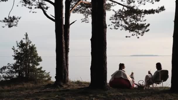4人の友人がビーチで休んでいます。日没時に木の下で酒を飲んでコミュニケーションをとり、楽しみましょう. — ストック動画