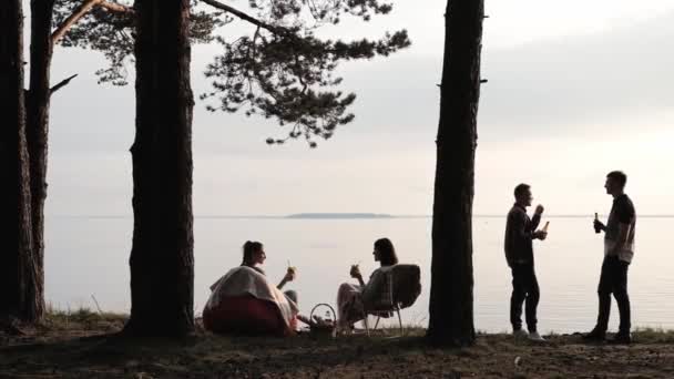 Négy barát pihen a parton. Igyál és kommunikálj a fák alatt naplementekor és érezd jól magad.. — Stock videók