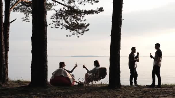 Quattro amici si riposano sulla spiaggia. Bere e comunicare sotto gli alberi al tramonto e divertirsi . — Video Stock