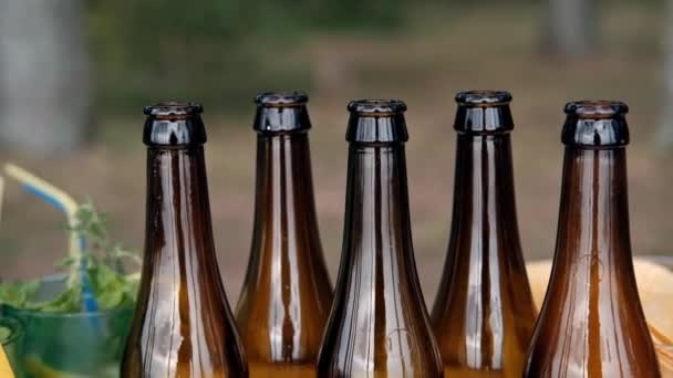 Fiesta al aire libre en el bosque. Cena en el camping. Cerveza embotellada y cócteles, hamburguesas y papas fritas, comida chatarra y aperitivos están sobre la mesa . — Vídeo de stock