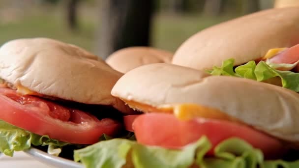 Festa all'aperto nella foresta. Cena al campeggio. Birra in bottiglia e cocktail, hamburger e patatine, cibo spazzatura e snack sono sul tavolo . — Video Stock