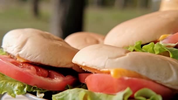 Fête en plein air en forêt. Dîner au camping. Bière en bouteille et cocktails, burgers et chips, malbouffe et snack sont sur la table . — Video