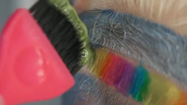 Coloriste coiffeur met de la peinture sur les cheveux avec un pinceau. Une coupe de cheveux courte, temple rasé, ornement sur les cheveux . — Video