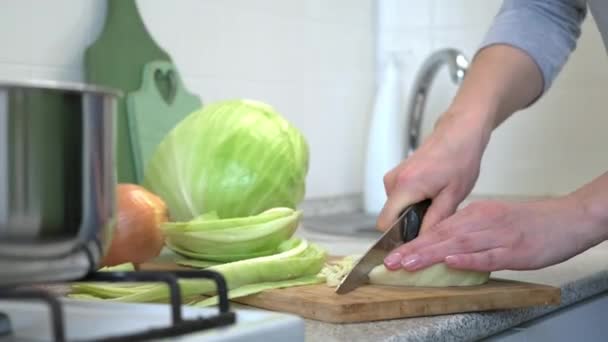 ロシアのキャベツスープを調理します。女性がまな板に野菜を切る。台所での料理. — ストック動画