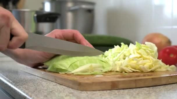 Cozinhar sopa de repolho russo. Uma mulher corta vegetais em uma tábua de corte. Cozinhar na cozinha da casa . — Vídeo de Stock