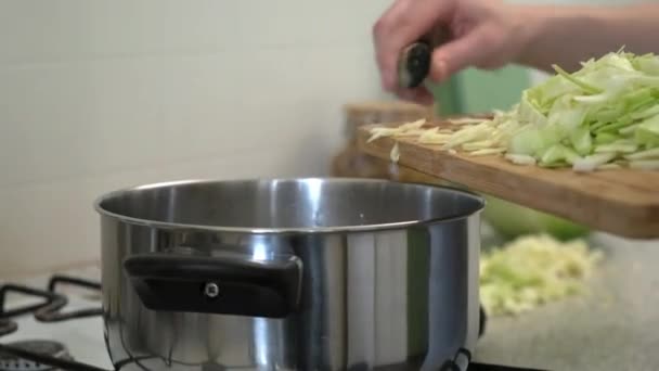 ロシアのキャベツスープを調理します。女性がまな板に野菜を切る。台所での料理. — ストック動画