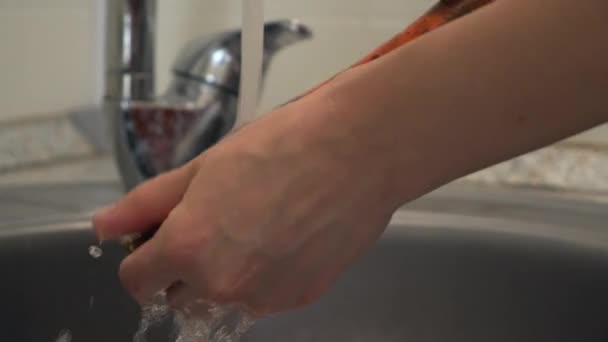 Une femme lave les pommes de terre et les carottes, nettoie les légumes pour cuisiner la soupe . — Video