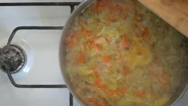 Memasak sup kubis Rusia. Seorang wanita memotong sayuran di papan potong. Memasak di rumah. — Stok Video