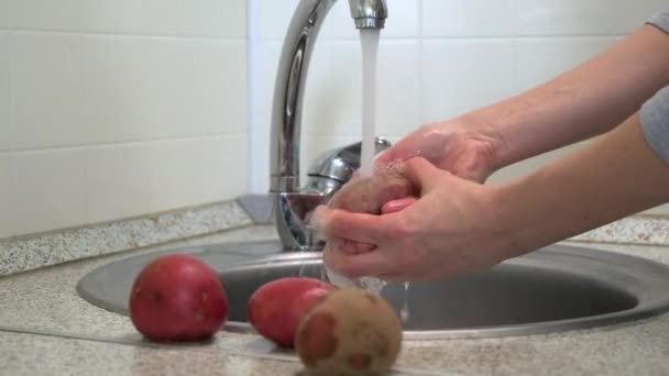 Une femme lave les pommes de terre et les carottes, nettoie les légumes pour cuisiner la soupe . — Video