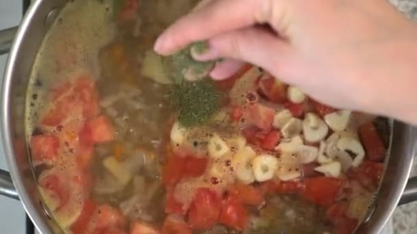 Cuisiner la soupe au chou russe. Une femme coupe des légumes sur une planche à découper. Cuisine dans la cuisine de la maison . — Video