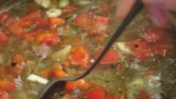 Cuisiner la soupe au chou russe. Une femme coupe des légumes sur une planche à découper. Cuisine dans la cuisine de la maison . — Video