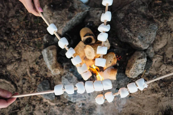A group of friends relax in a forest camp. Men and women prepare a marshmallow on a bonfire. A party in nature. — Stock Photo, Image