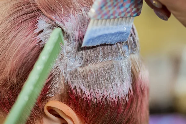 Cabeleireiro colorista tinge o cabelo de uma mulher para um cliente em cores diferentes . — Fotografia de Stock