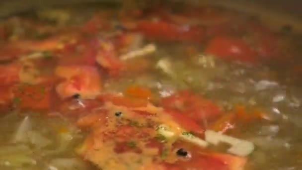 Готувати російський суп з капусти. На дошці ріжуть овочі. Готувати їжу вдома.. — стокове відео