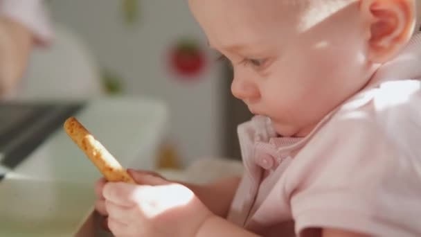 Ein kleines Mädchen sitzt auf einem Babystuhl an einem Tisch in der Küche und hält einen großen amerikanischen Keks. — Stockvideo