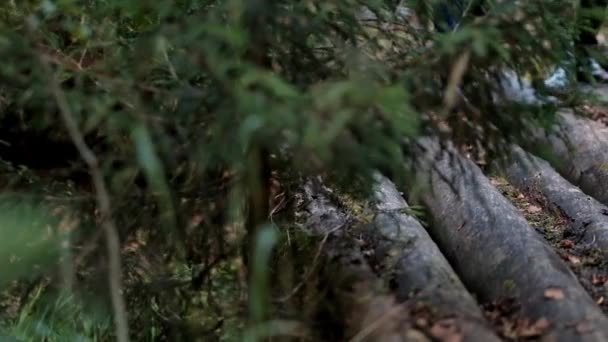 Un couple, un homme et une femme en bottes de caoutchouc marchent dans la forêt .