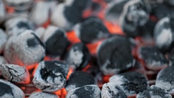 Smoldering charcoal for barbecue cooking. — Stock Video