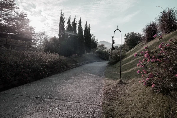 Siluet geçit bir aşk doğa ile parkta