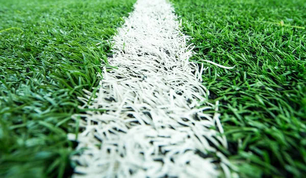 Yeşil futbol futbol sahası ile oyuncu portre hatta