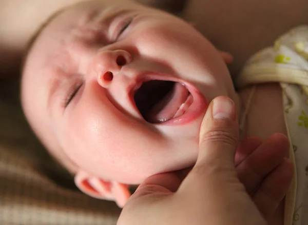 Mencari gigi pertama bayi itu — Stok Foto